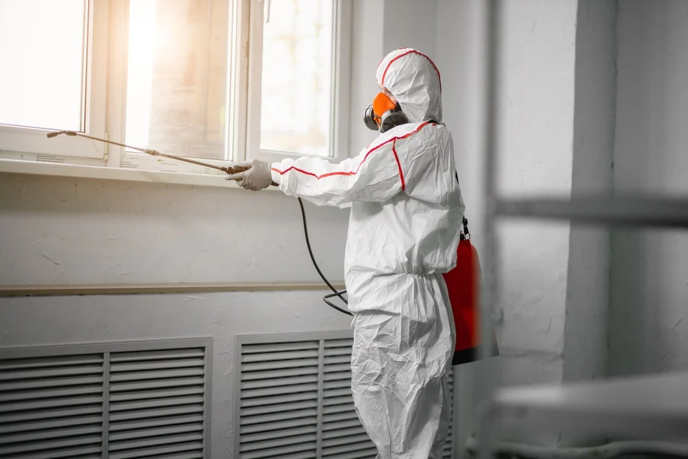 Professional mold remediation services in Mango, FL